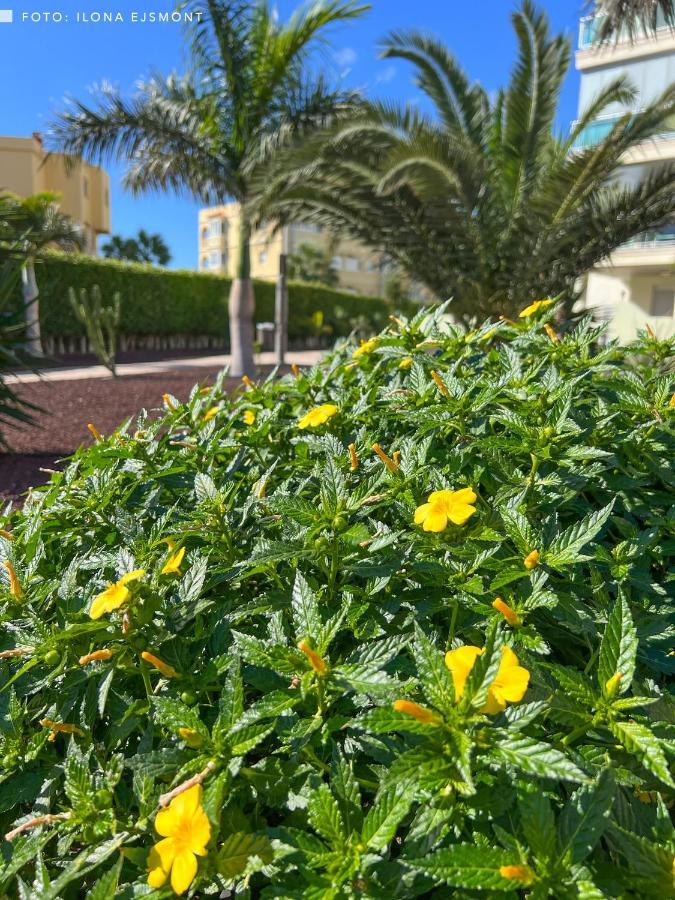 Appartement Isla Feliz In Golf Del Sur Cozy With Terrace, Pool & Parking San Miguel de Abona