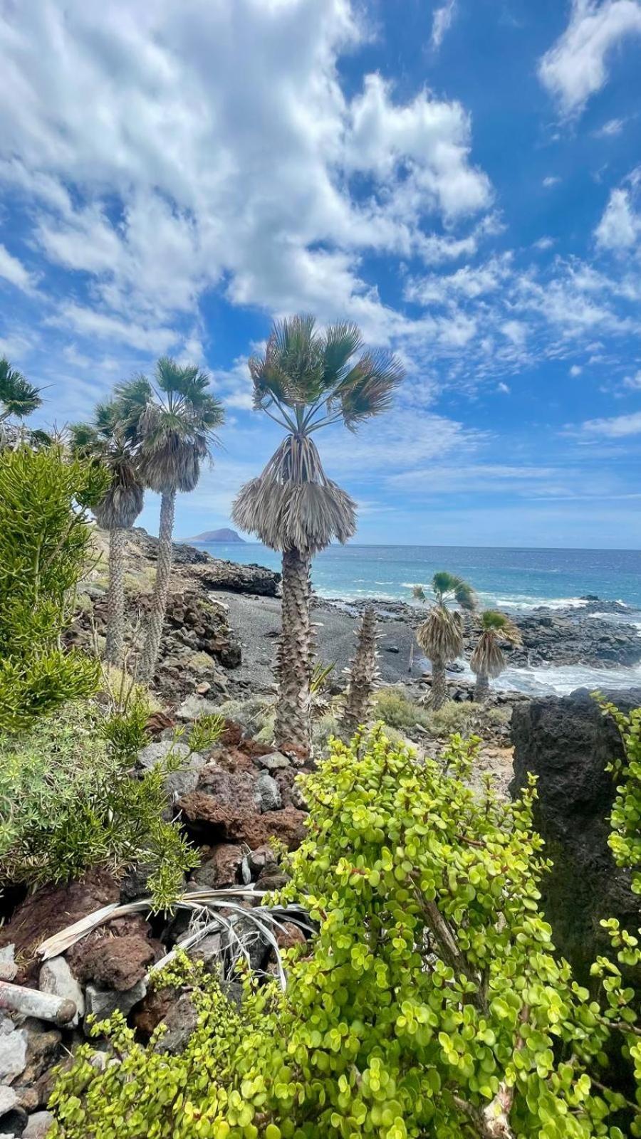 Isla Feliz In Golf Del Sur Cozy With Terrace, Pool & Parking